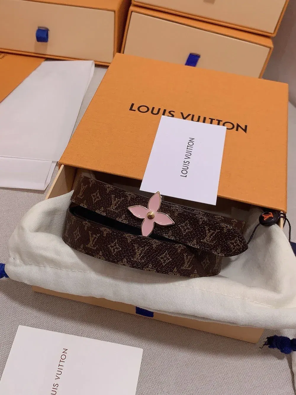 Luxury Bags ln Luxury Belt --100313