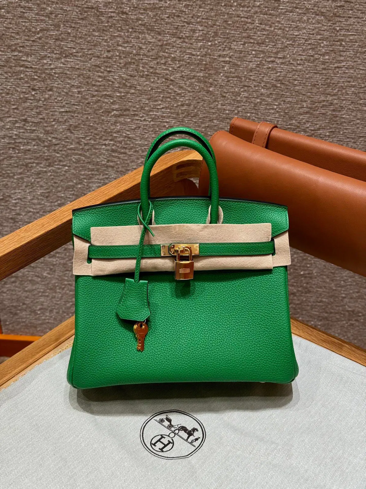 Luxury Bags Elite Carryalls