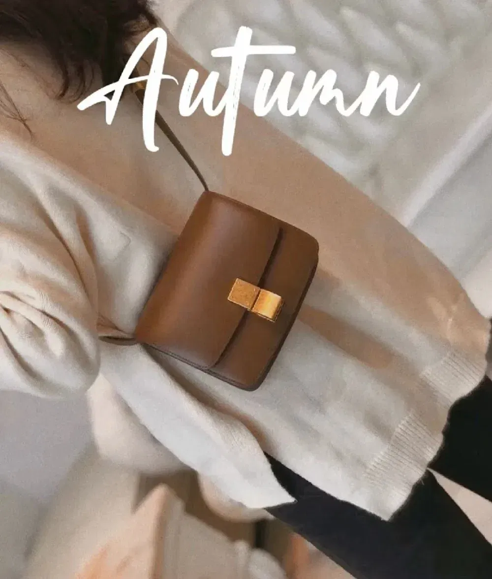 Luxury Bags Celine Luxury Bag --111940