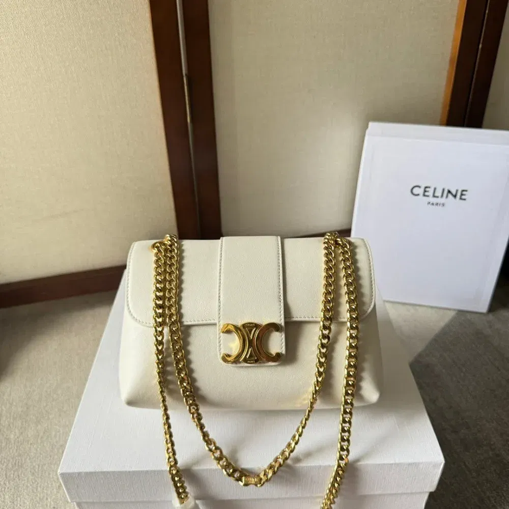 Luxury Bags Celine Luxury Bag --112191