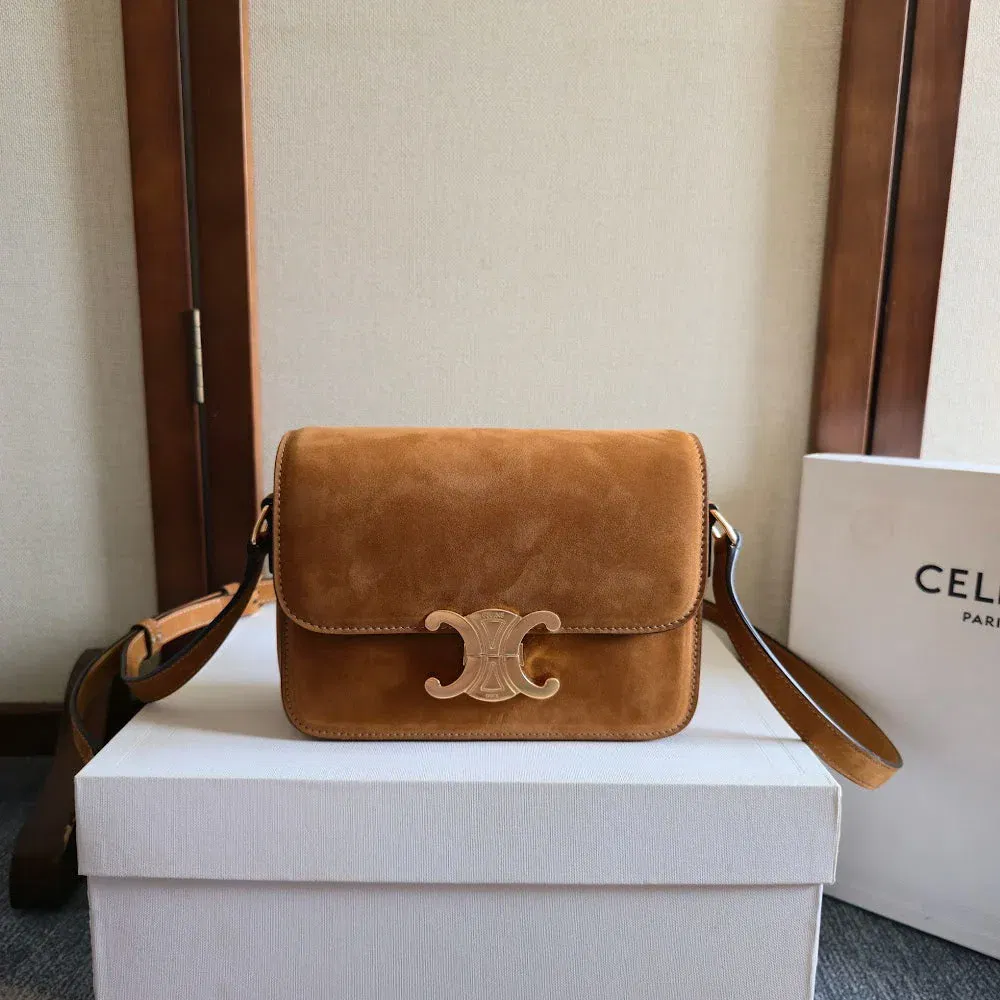 Luxury Bags Celine Luxury Bag --112398