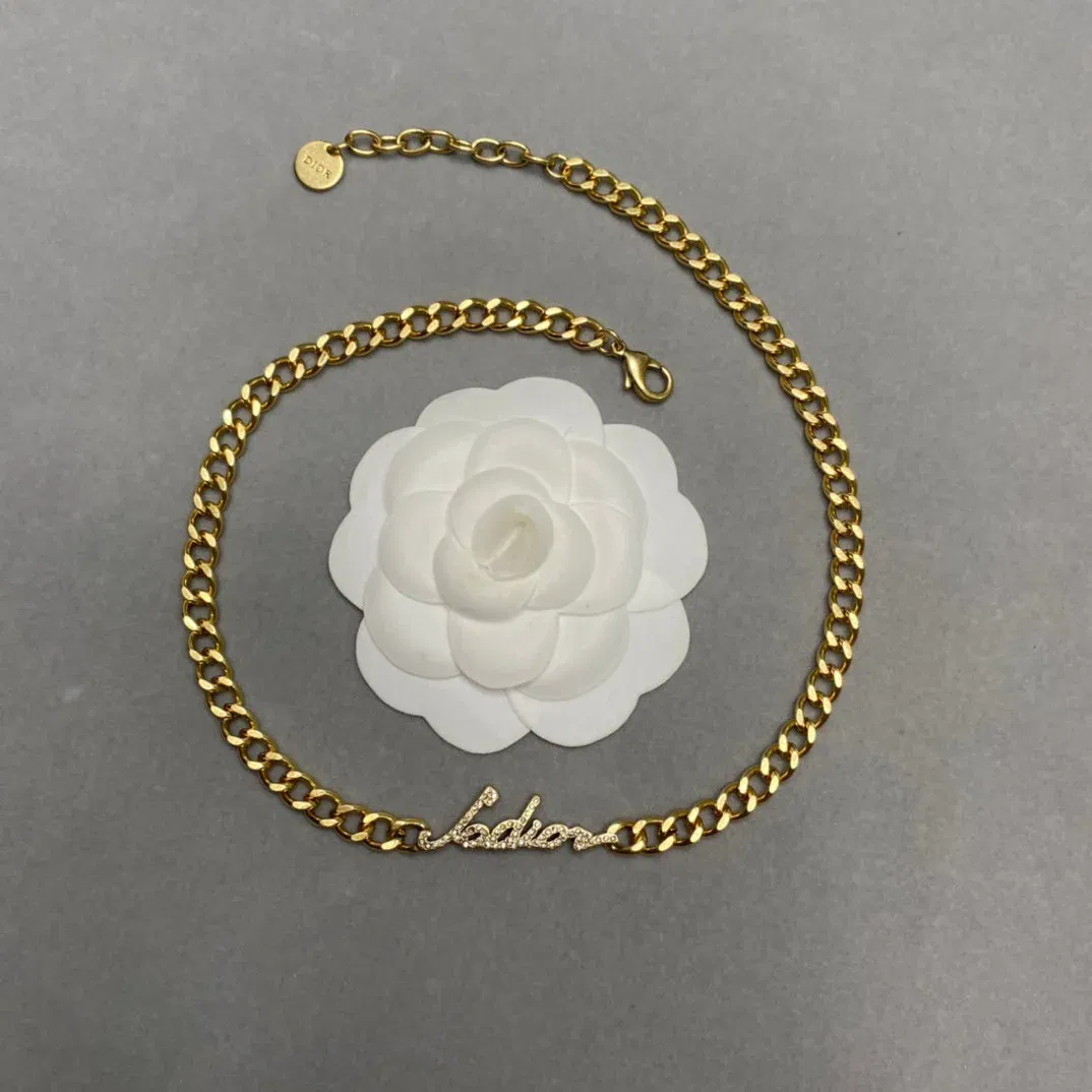 Luxury Bags Dir Necklaces 019