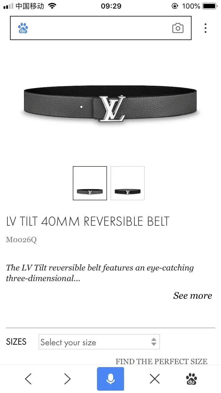 Luxury Bags ln Luxury Belt --100297