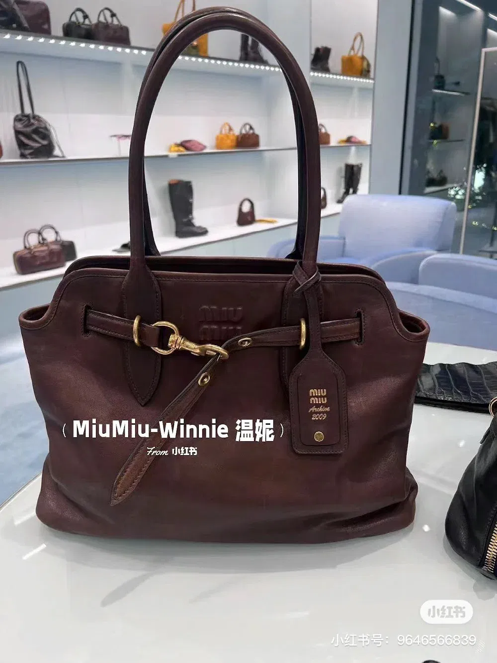 Luxury Bags Miun Miun Luxury Bag --122618 — image 2