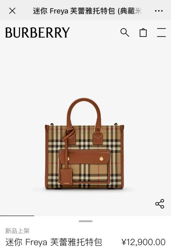 Luxury Bags - Premium Luxury Goods and Accessories - AFFORDABLE LUXURY BAGS - 17365