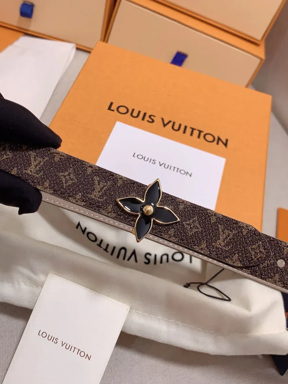 Luxury Bags ln Luxury Belt --100309 — image 9