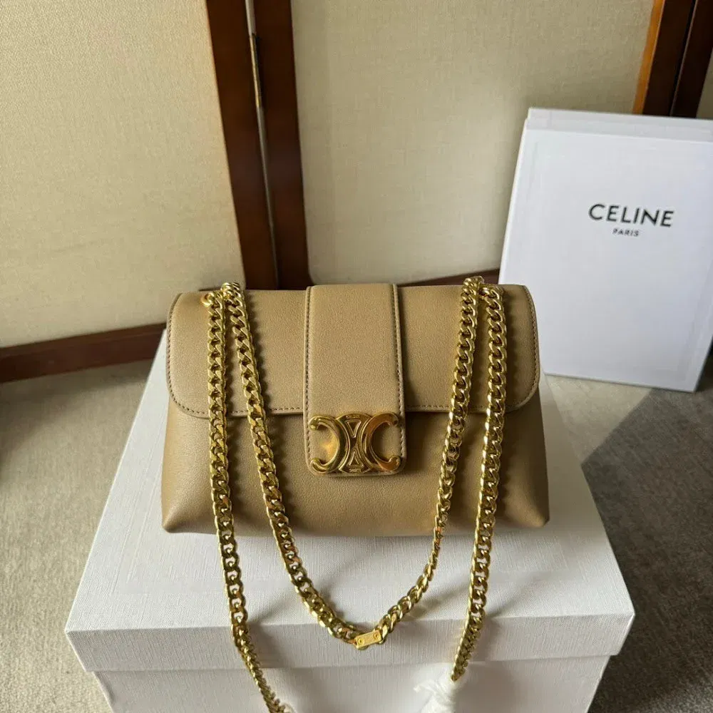 Luxury Bags Celine Luxury Bag --112299