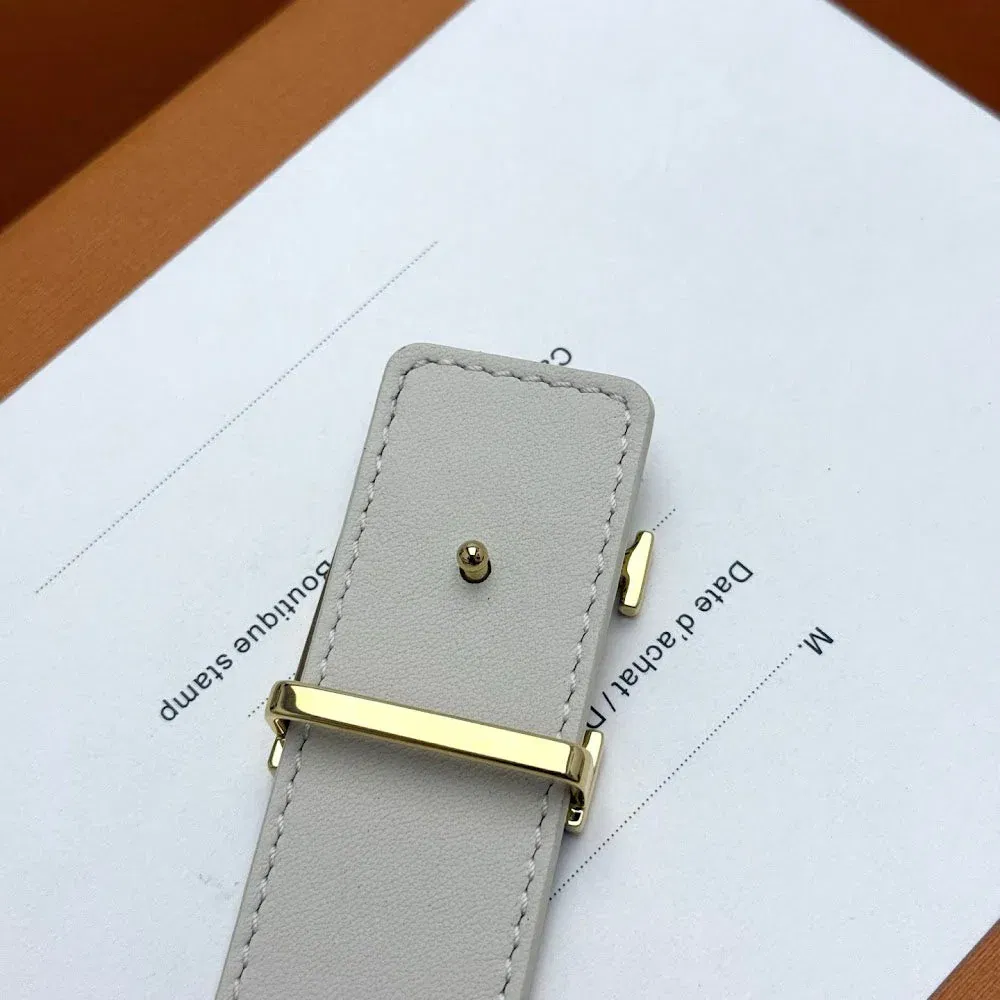 Luxury Bags ln Luxury Belt --100255 — image 7
